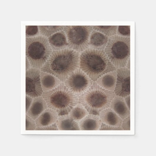 Petoskey Stone Michigan staat steen fossiel Servet (Voorkant)