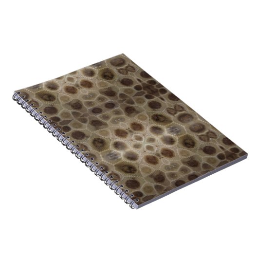 Petoskey Stone Notitieboek (Rechterzijde)