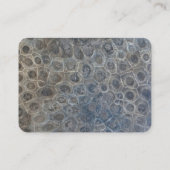 Petoskey Stone-ontwerp Visitekaartje (Achterkant)