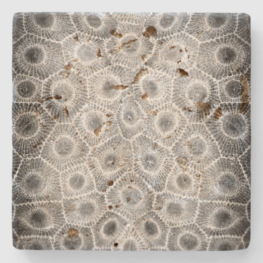 Petoskey Stone Pattern Stenen Onderzetter (Voorkant)