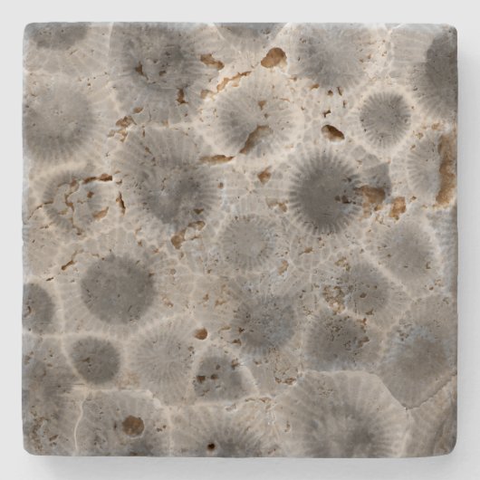 Petoskey Stone Pattern Stenen Onderzetter (Voorkant)