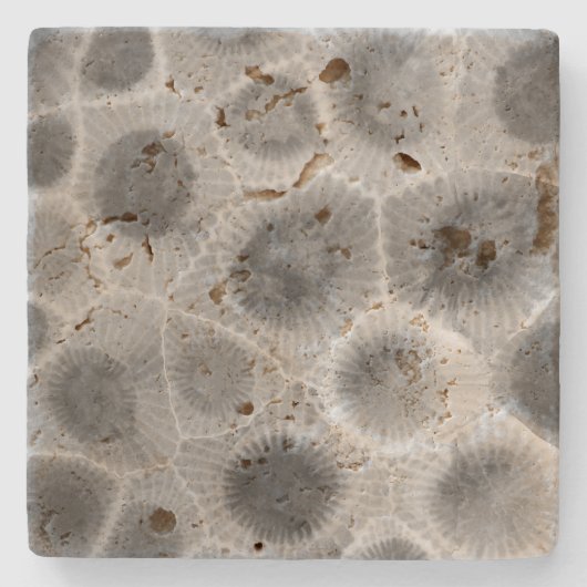 Petoskey Stone Pattern Stenen Onderzetter (Voorkant)