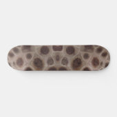Petoskey Stone, staatsteen Michigan Persoonlijk Skateboard (Horizontaal)