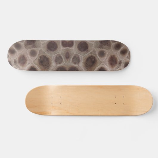 Petoskey Stone, staatsteen Michigan Persoonlijk Skateboard (Horizontaal)