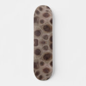 Petoskey Stone, staatsteen Michigan Persoonlijk Skateboard (Voorkant)