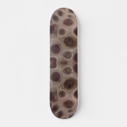 Petoskey Stone, staatsteen Michigan Persoonlijk Skateboard (Voorkant)
