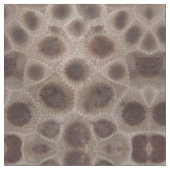 Petoskey Stone Stof (Close Up)