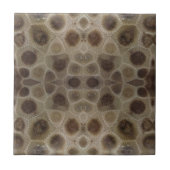 Petoskey Stone Tegeltje (Voorkant)