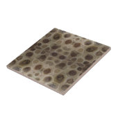 Petoskey Stone Tegeltje (Zijkant)