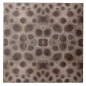 Petoskey Stone Tegeltje (Voorkant)