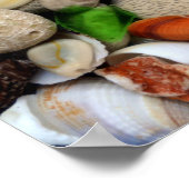 Petoskey Stones 3.0 Poster (Hoek)