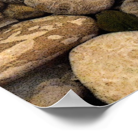 Petoskey Stones met Shells l Poster (Hoek)