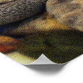 Petoskey Stones met Shells Poster (Hoek)