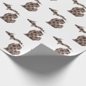 Petoskeystenen Cadeaupapier (Hoek)