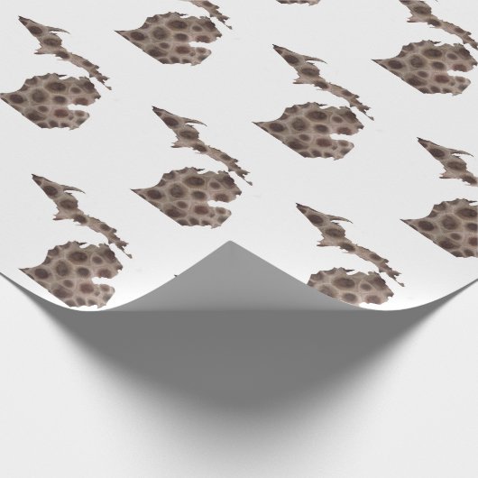 Petoskeystenen Cadeaupapier (Hoek)