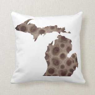 Petoskeystenen Kussen