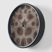 Petosky stenen patroon michigan grote meren (Hoek)