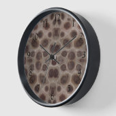 Petosky stenen patroon michigan grote meren (Hoek)