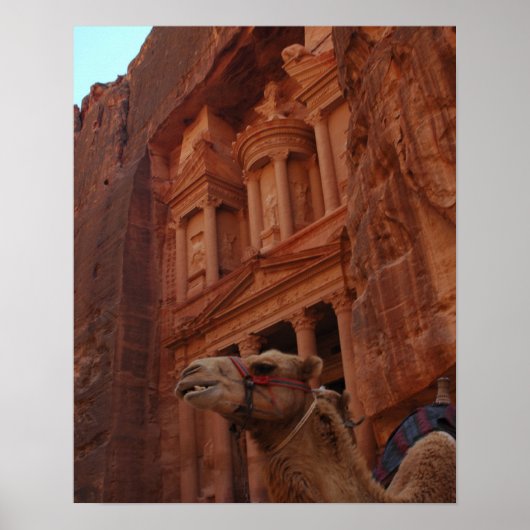 Petra Camel Print (Voorkant)