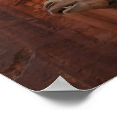 Petra Camel Print (Hoek)
