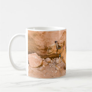 Petra - Mok Jordanië