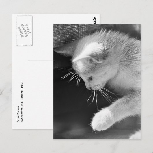 Petra Poised Briefkaart (Voorkant / Achterkant)