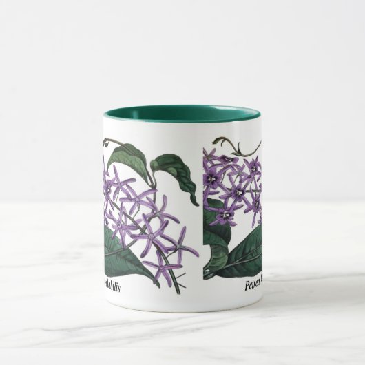 Petrea Volubilis Mok (Midden)