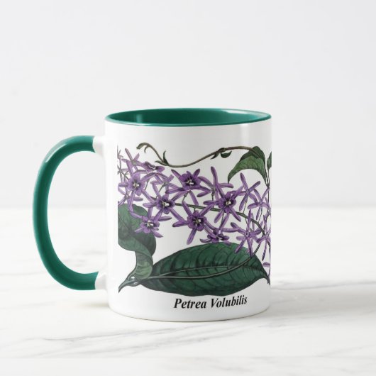 Petrea Volubilis Mok (Links)