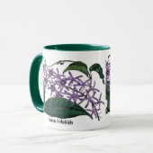 Petrea Volubilis Mok (Voorkant links)