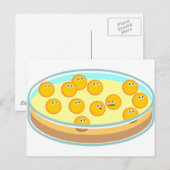 Petri Dish MRSA Briefkaart (Voorkant / Achterkant)