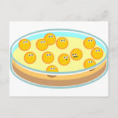 Petri Dish MRSA Briefkaart (Voorkant)