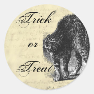Petrified Cat Halloween Ronde Sticker