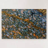 Petrified Dinosaur Bone Legpuzzel (Horizontaal)