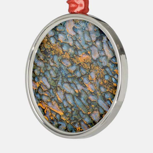 Petrified Dinosaur Bone Metalen Ornament (Links)