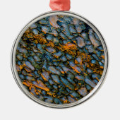 Petrified Dinosaur Bone Metalen Ornament (Voorkant)