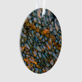 Petrified Dinosaur Bone Ornament (voorkant)