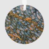 Petrified Dinosaur Bone Ornament (achterkant)