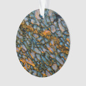 Petrified Dinosaur Bone Ornament (voorkant)