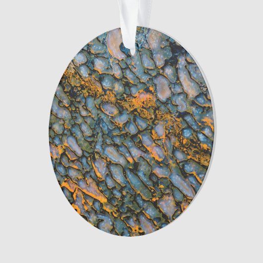 Petrified Dinosaur Bone Ornament (voorkant)