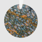 Petrified Dinosaur Bone Ornament (voorkant)