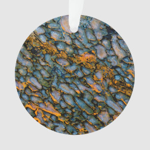 Petrified Dinosaur Bone Ornament