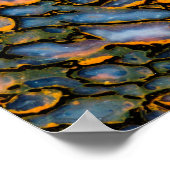 Petrified Dinosaur Bone Poster (Hoek)