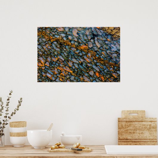 Petrified Dinosaur Bone Poster (Keuken)