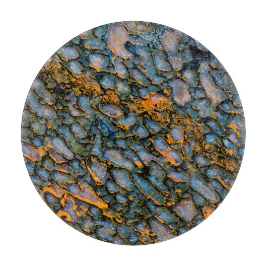 Petrified Dinosaur Bone Snijplank (Voorkant)