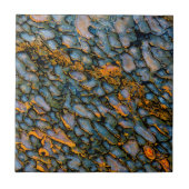 Petrified Dinosaur Bone Tegeltje (Voorkant)