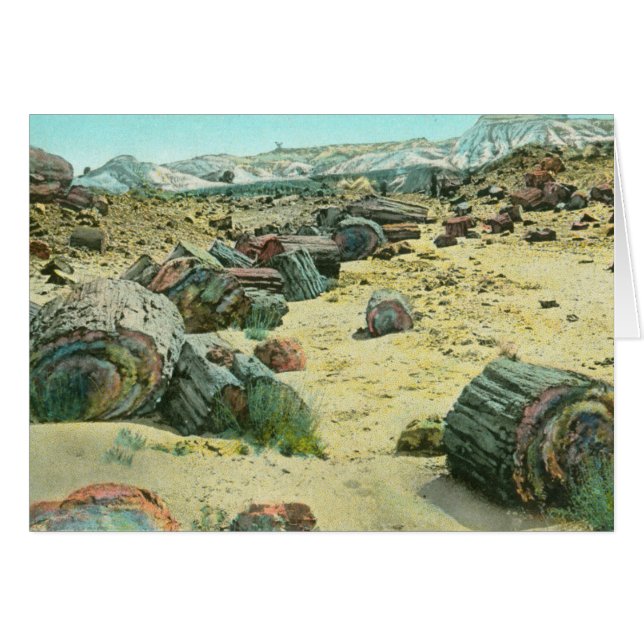 Petrified Forest (Voorkant Horizontaal)