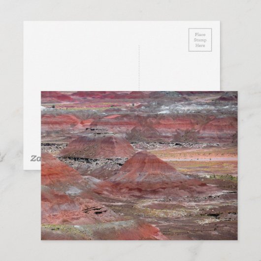 Petrified Forest 2 Briefkaart (Voorkant / Achterkant)