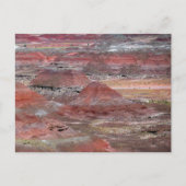 Petrified Forest 2 Briefkaart (Voorkant)