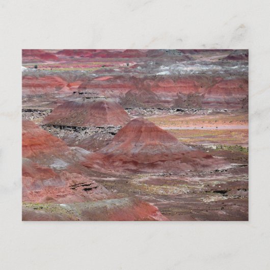 Petrified Forest 2 Briefkaart (Voorkant)