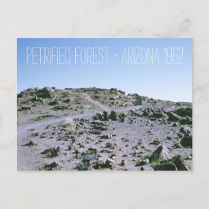 Petrified Forest Arizona 1962 Briefkaart